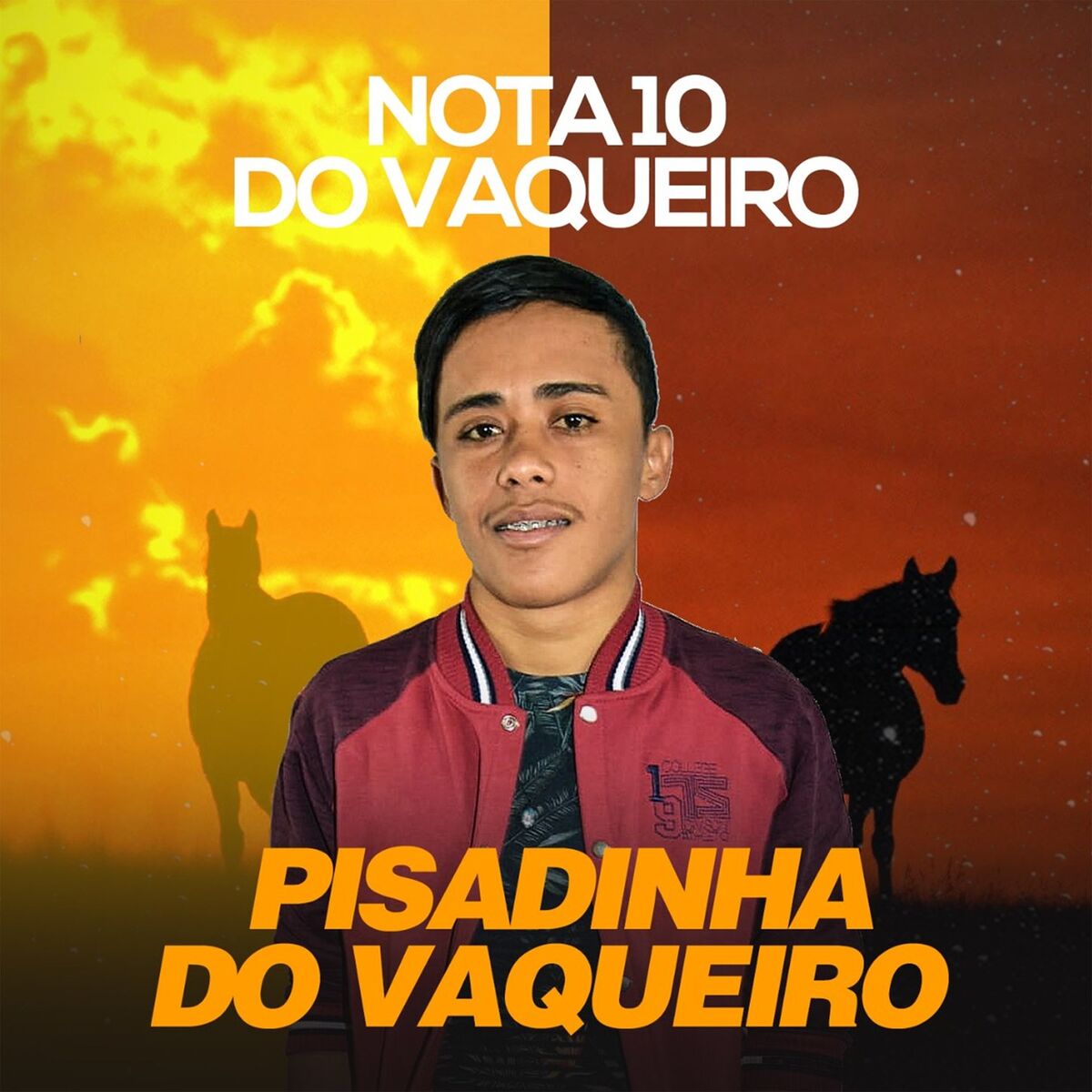 Album cover of Nota 10 do Vaqueiro
