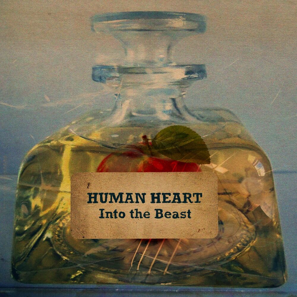 Picture of Human Heart