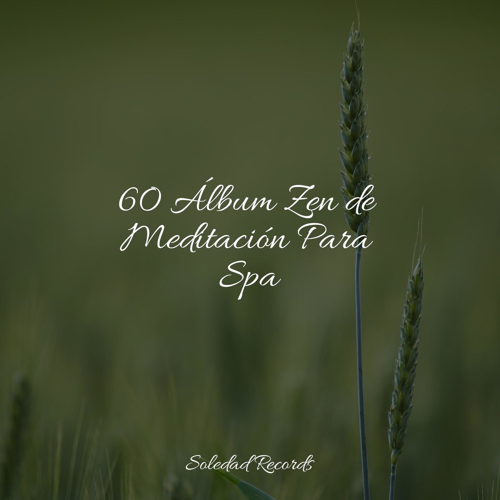 Album cover of 60 Álbum Zen de Meditación Para Spa