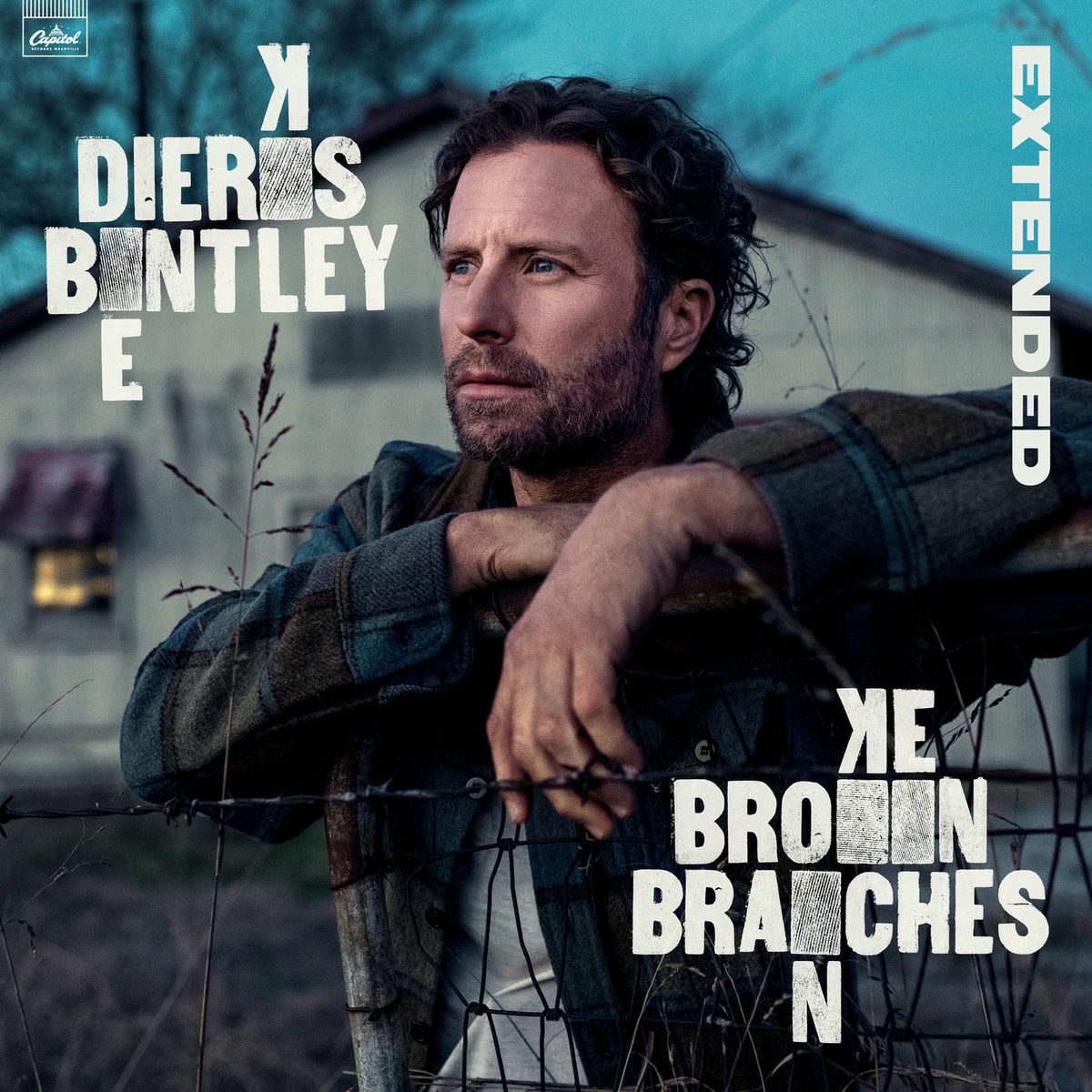 Album cover of Broken Branches (Extended)
