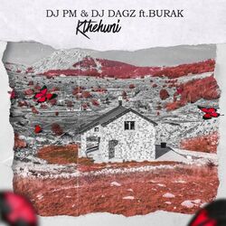Cover of Kthehuni