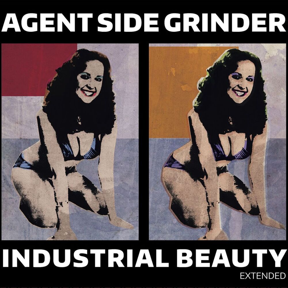 Picture of Industrial Beauty Extended