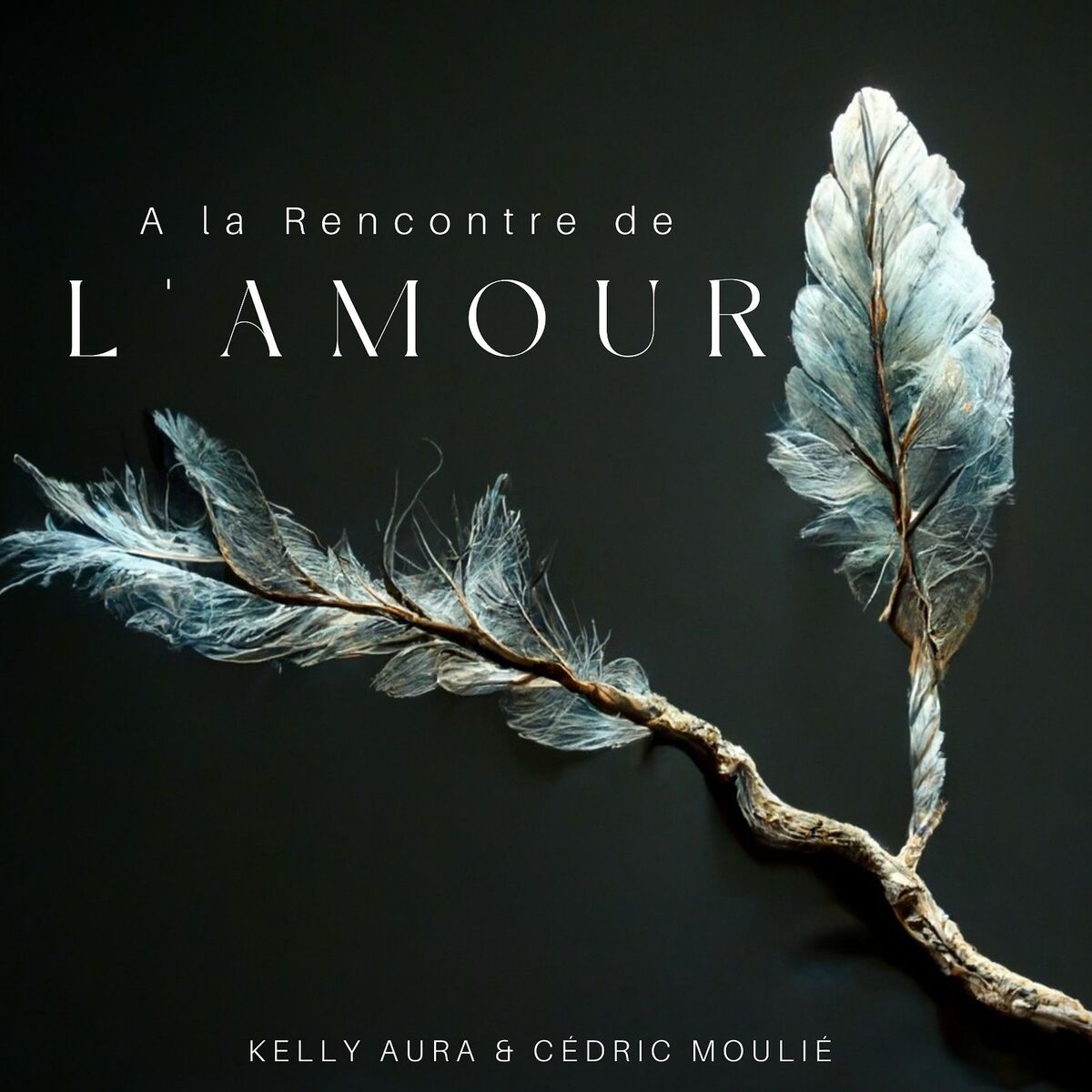 Album cover of A la Rencontre de l'Amour