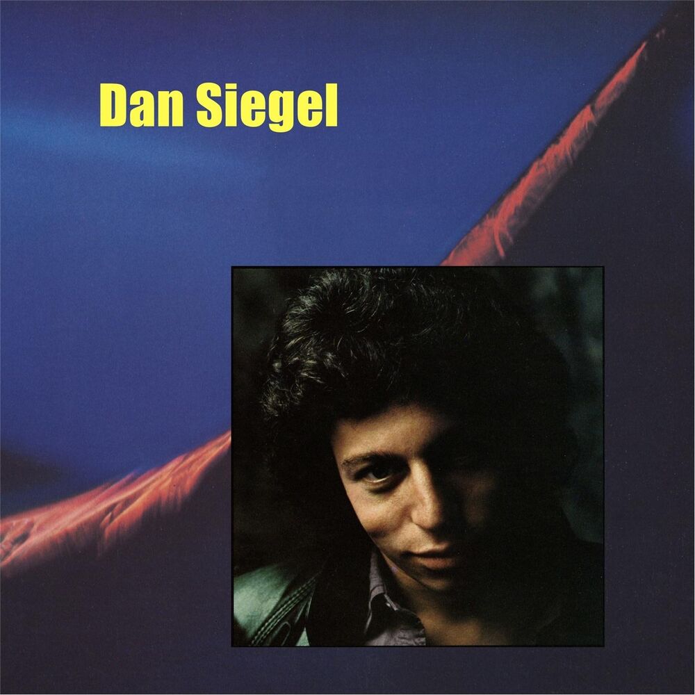 Picture of Dan Siegel