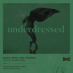 Cover of Underdressed