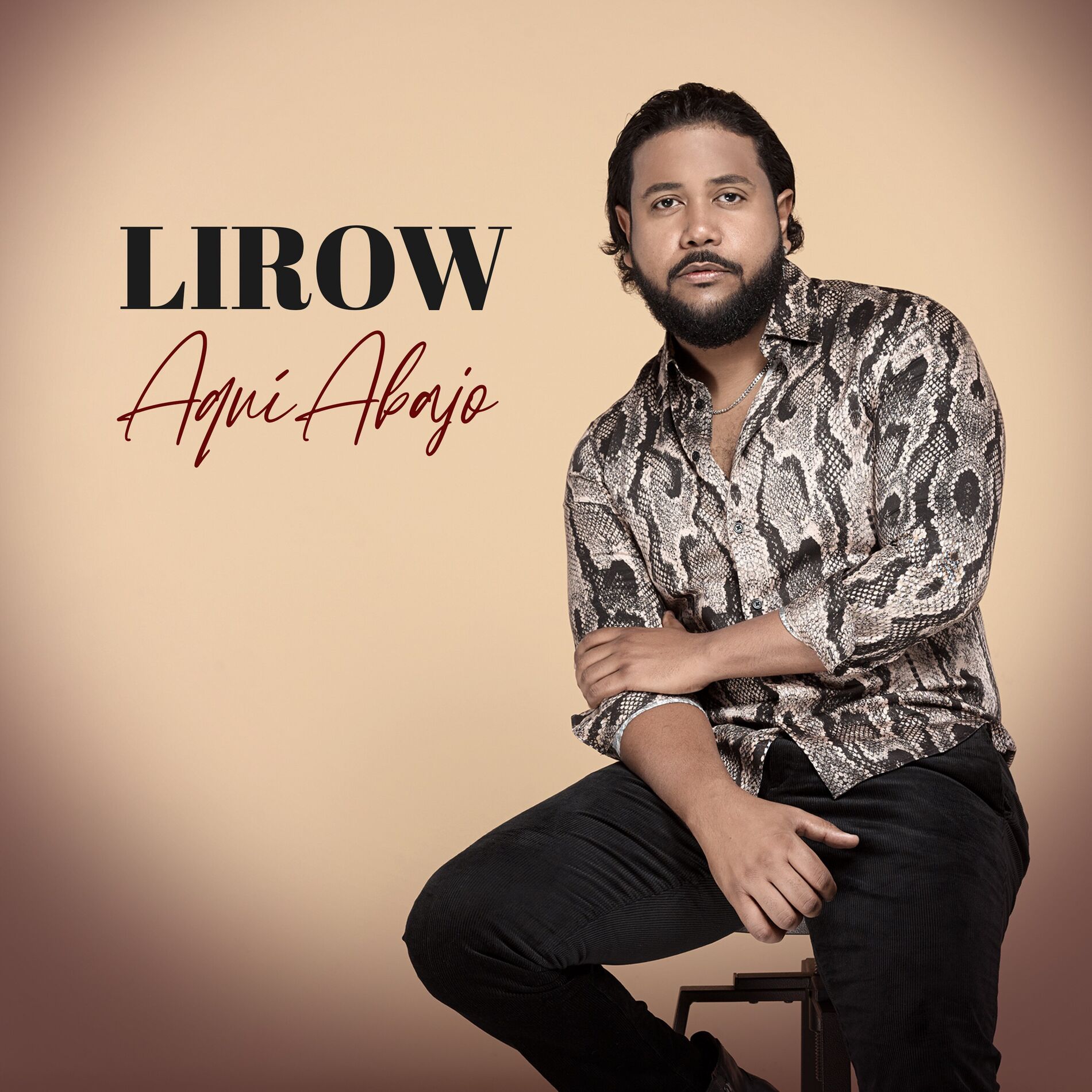 Album cover of Aquí Abajo