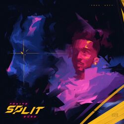 Cover of Split