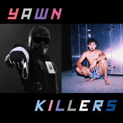 Cover of Yawnkillers