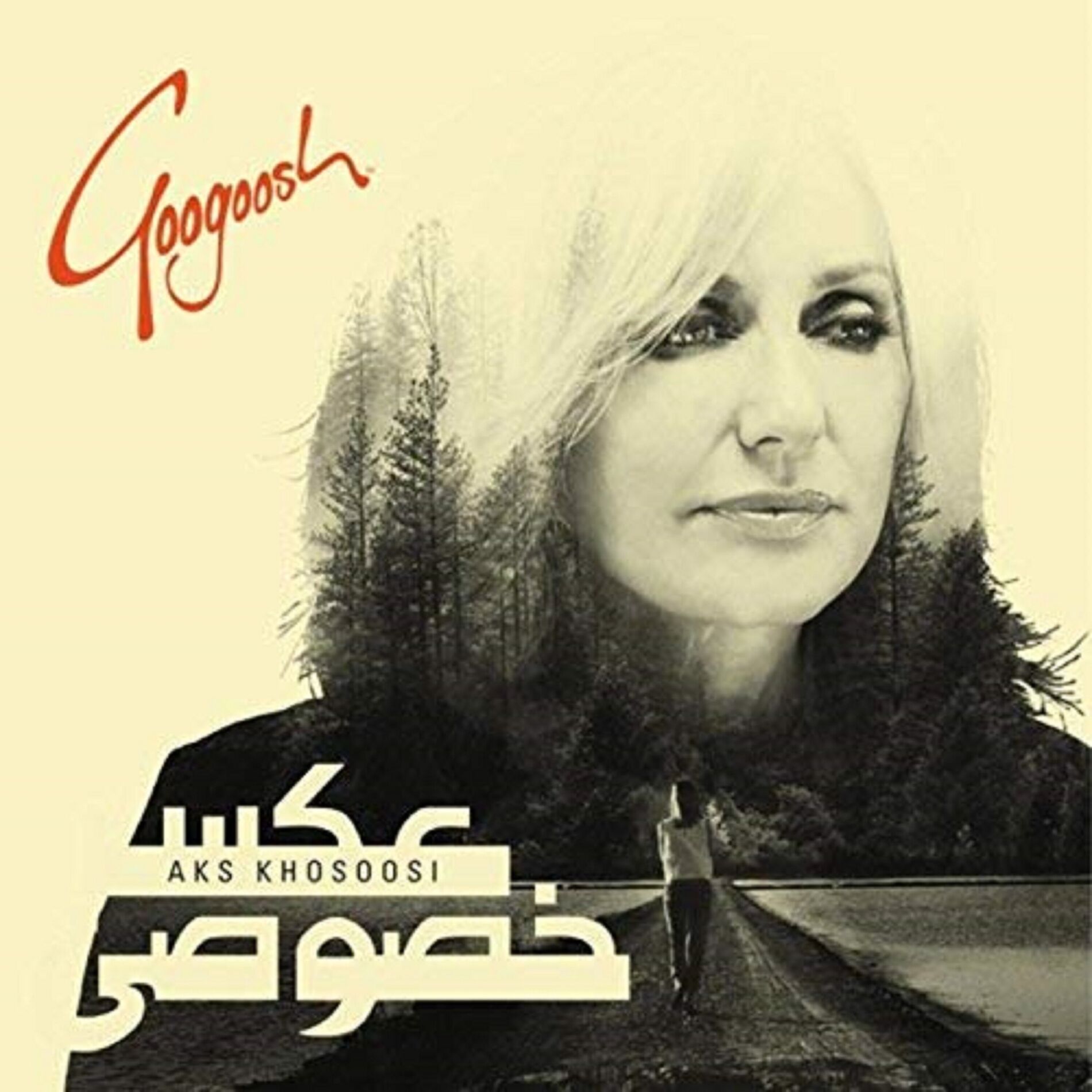Album cover of Aks Khosoosi
