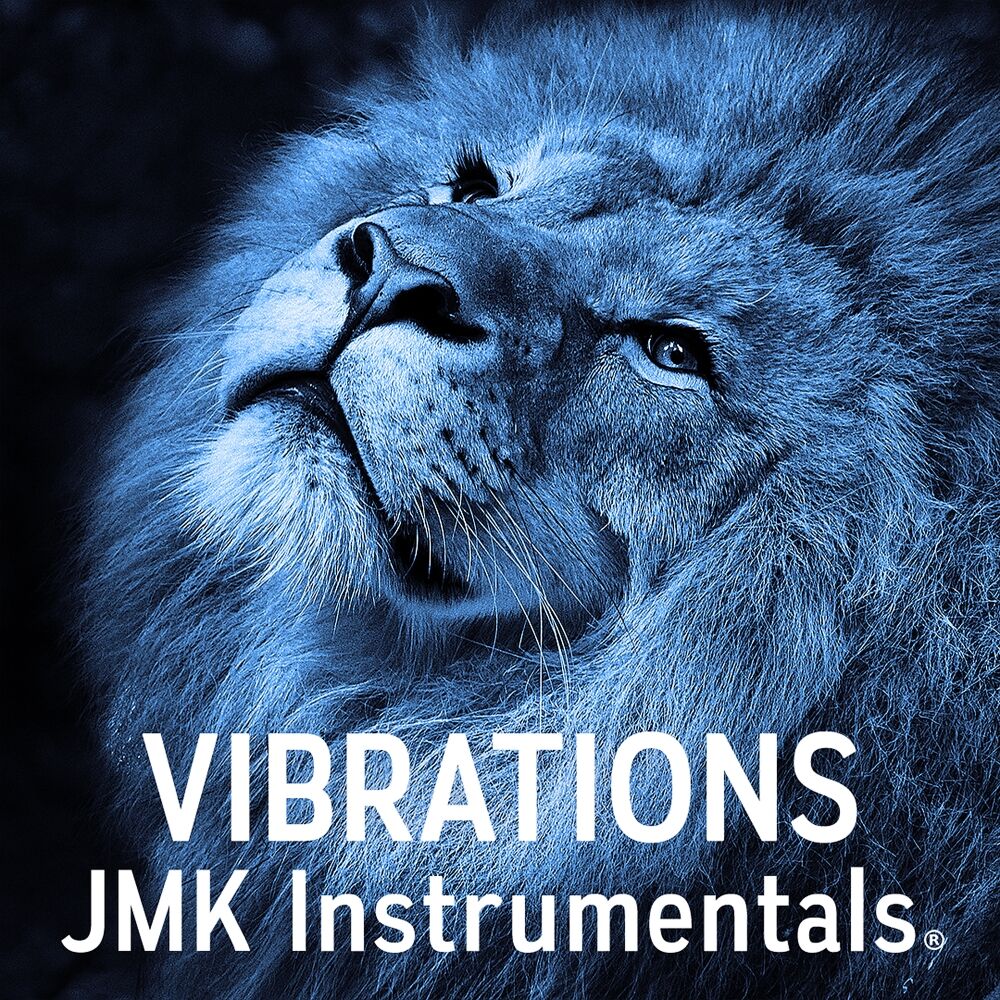 Picture of Vibrations (Emotional Mystic Flute Type)