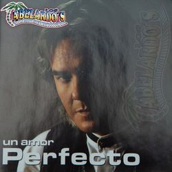 Cover of Un Amor Perfecto