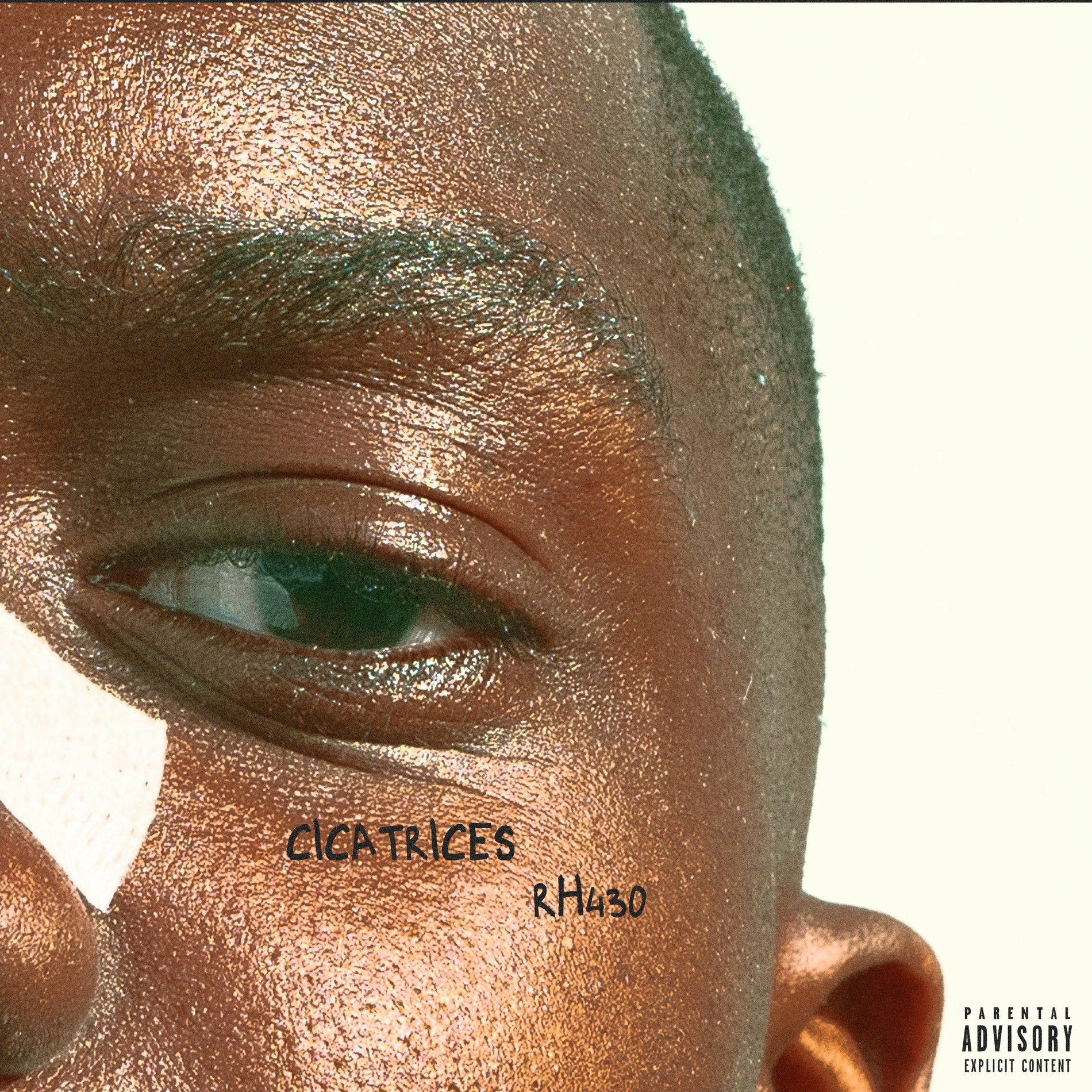 Album cover of Cicatrices