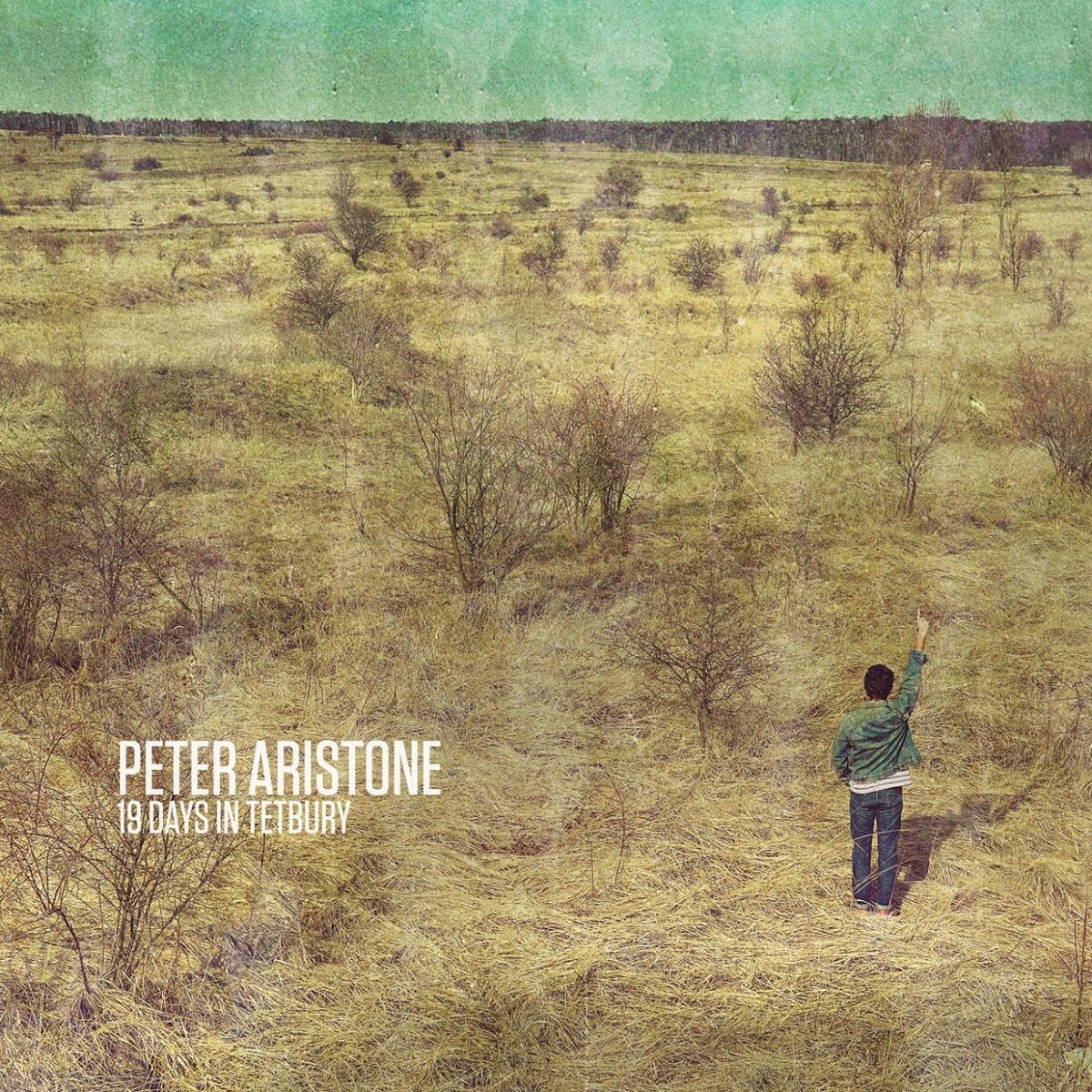 Album cover of 19 Days in Tetbury