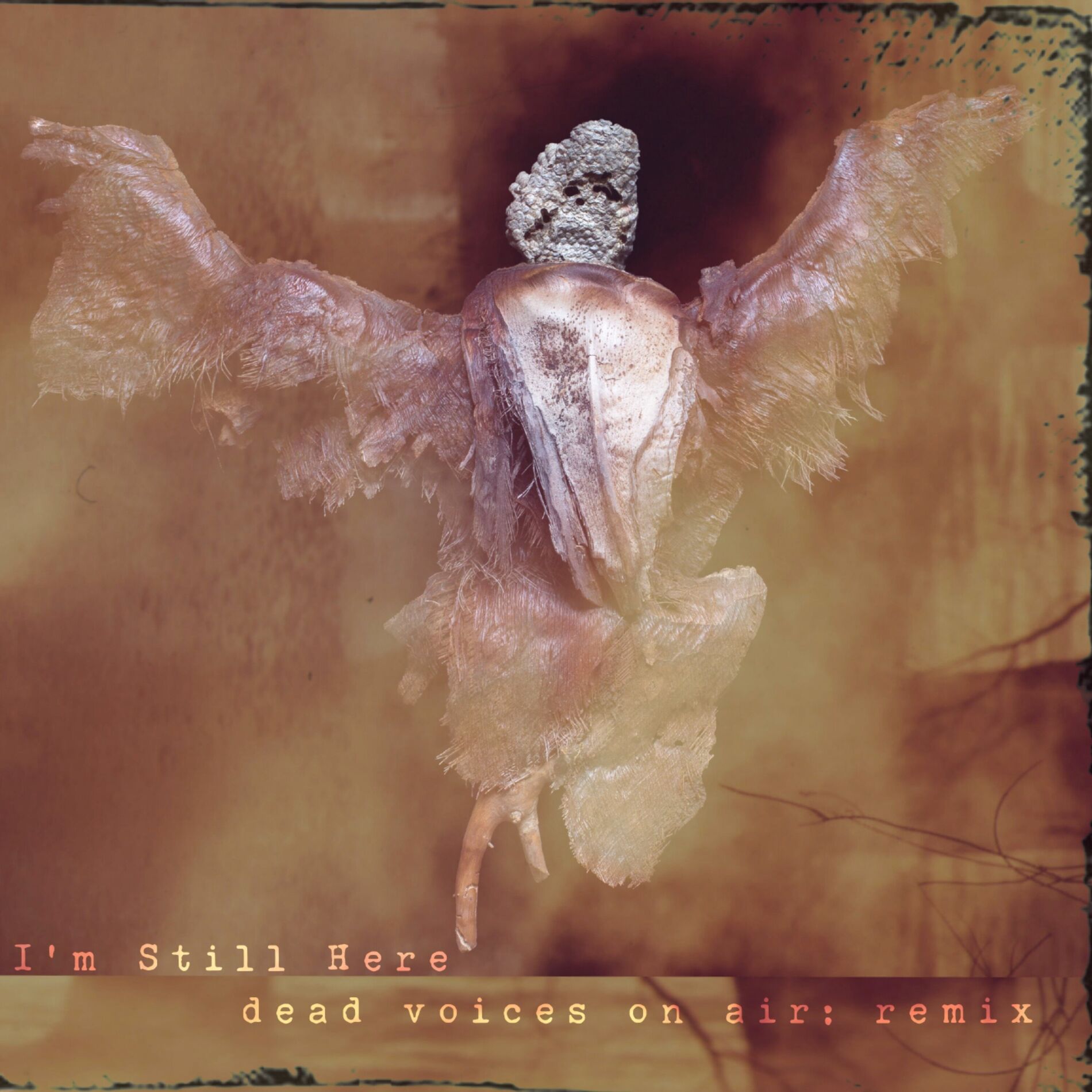 Album cover of I'm Still Here (Dead Voices On Air Remix)