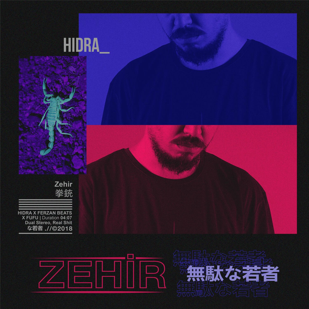 Album cover of Zehir