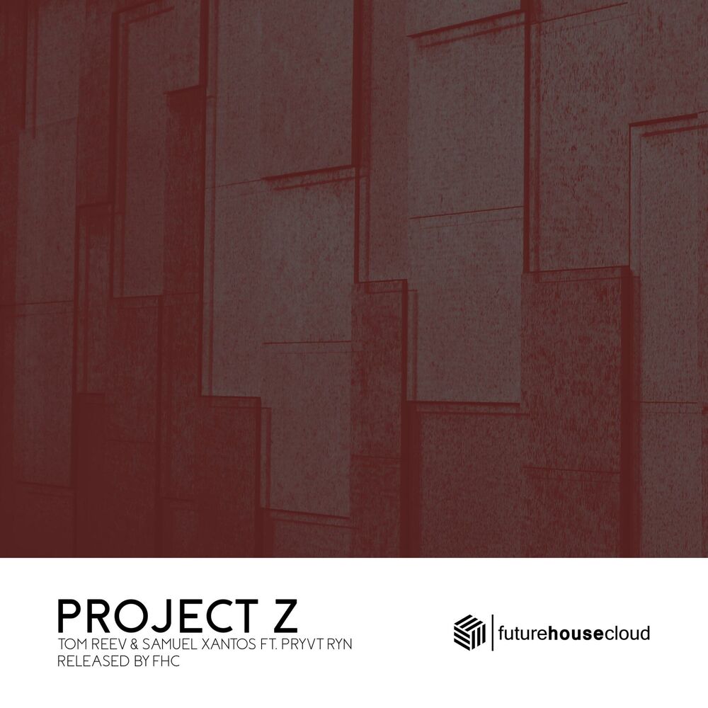 Picture of Project Z (feat. PRYVT RYN)