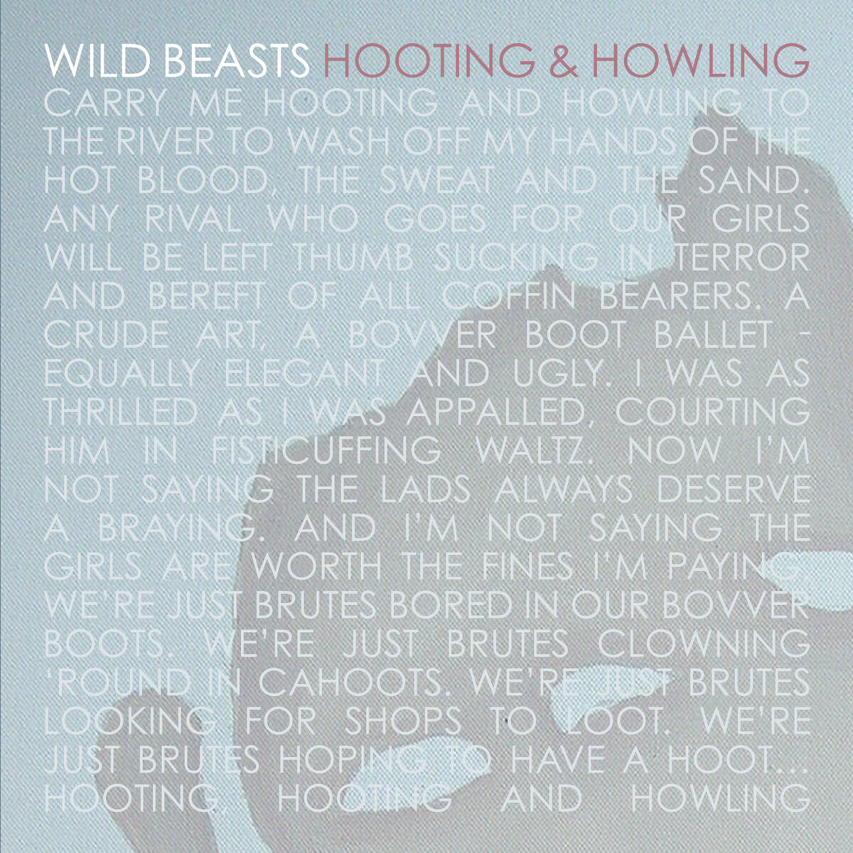 Album cover of Hooting & Howling