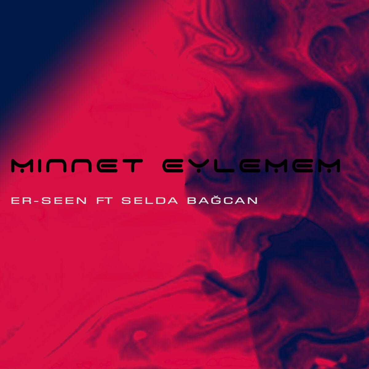 Album cover of Minnet Eylemem