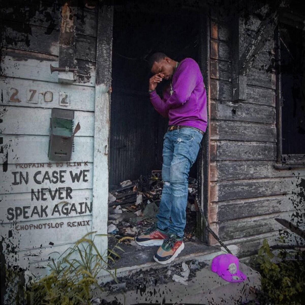 Album cover of In Case We Never Speak Again (ChopNotSlop Remix)