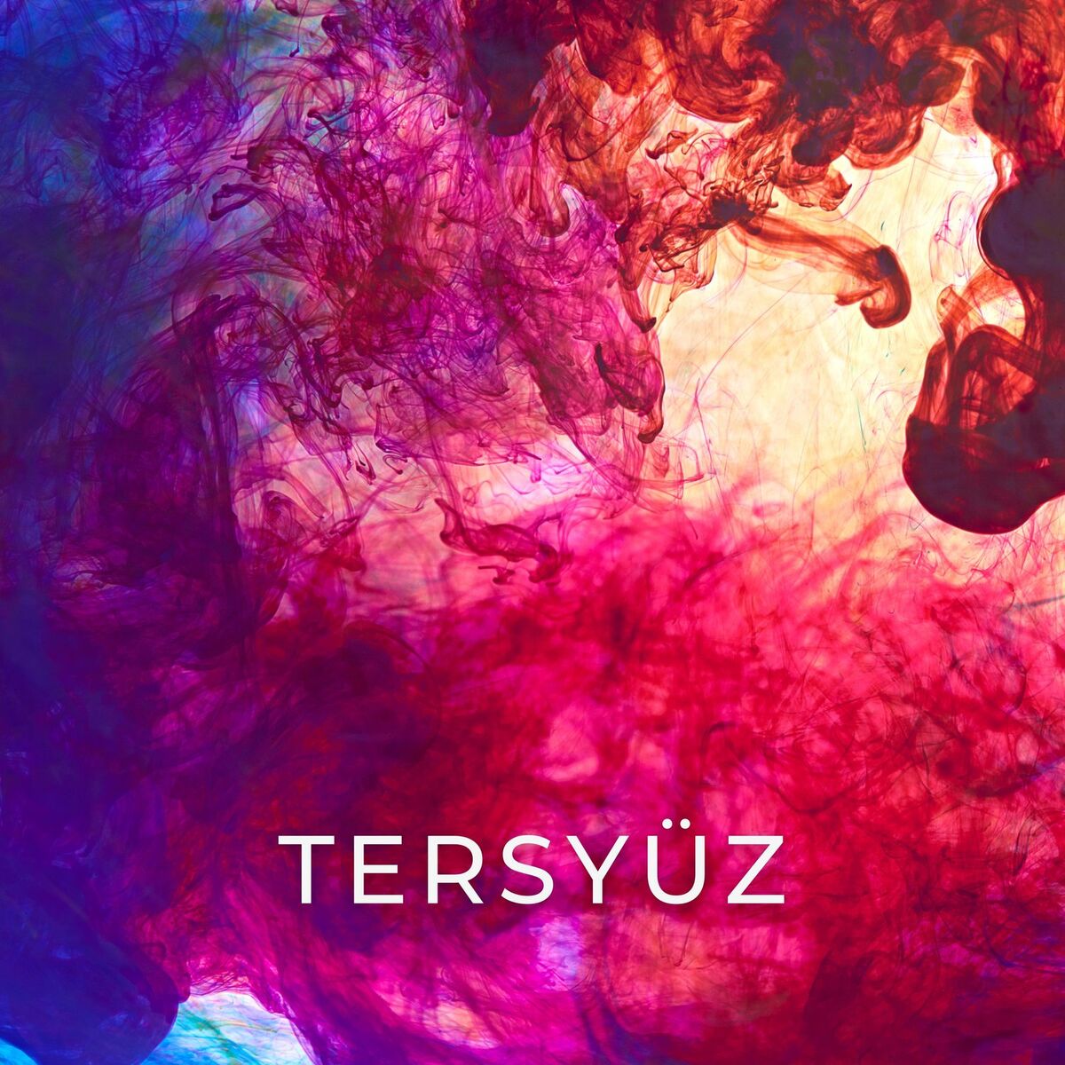 Album cover of Tersyüz