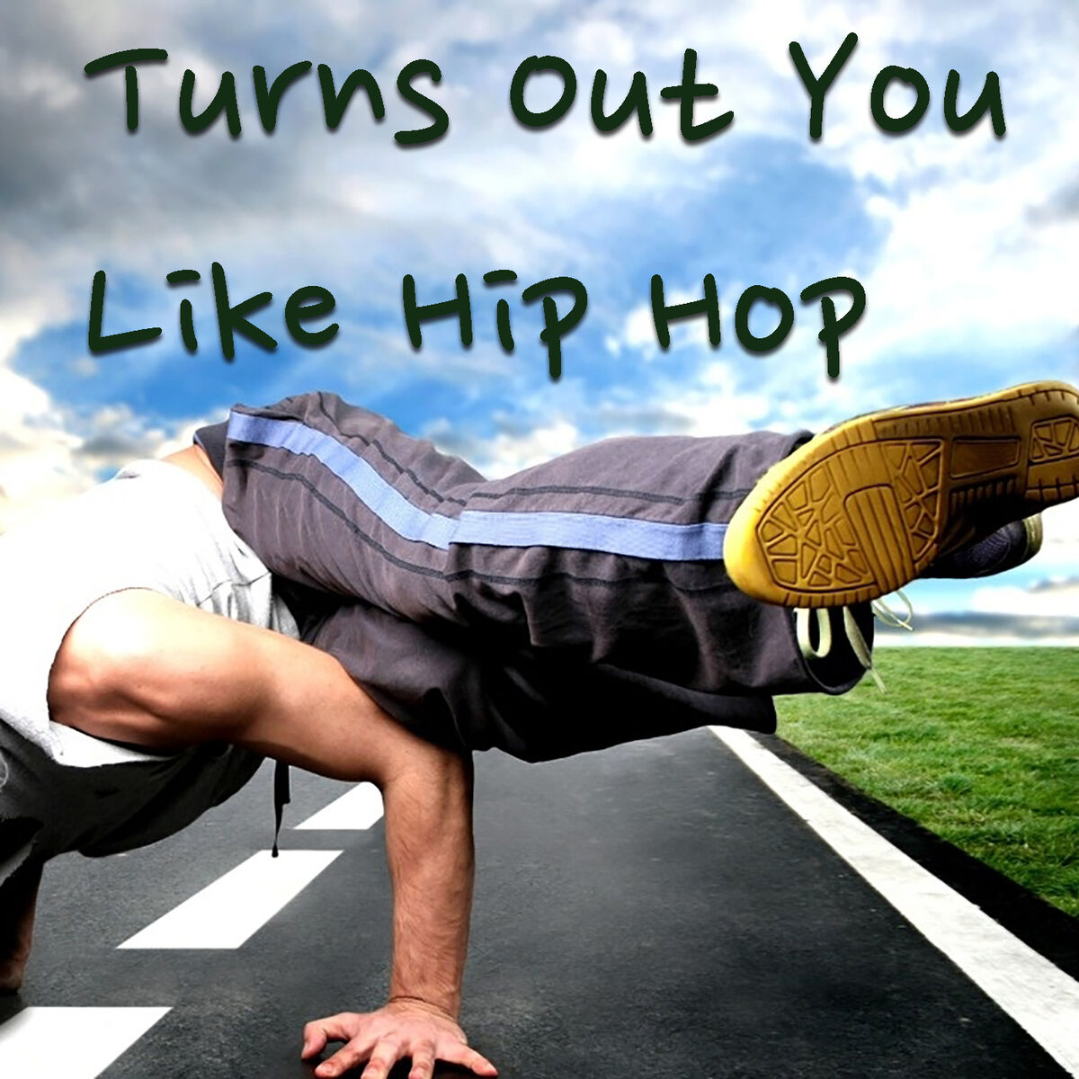 Album cover of Turns Out You Like Hip Hop