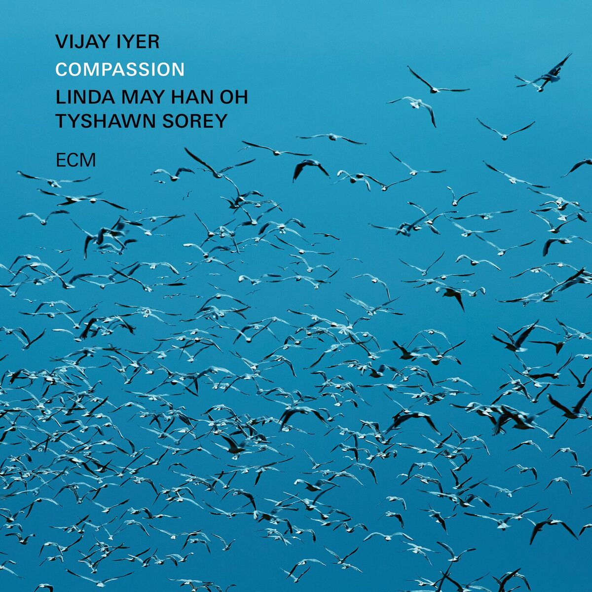 Album cover of Compassion