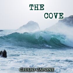 Cover of The Cove