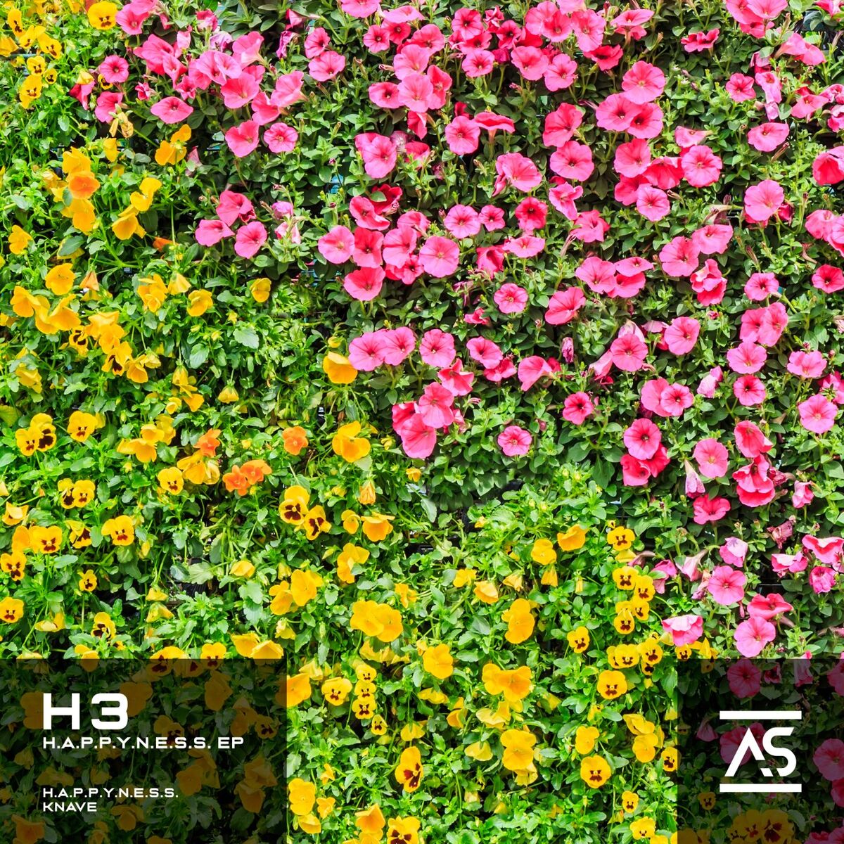 Album cover of H.A.P.P.Y.N.E.S.S.