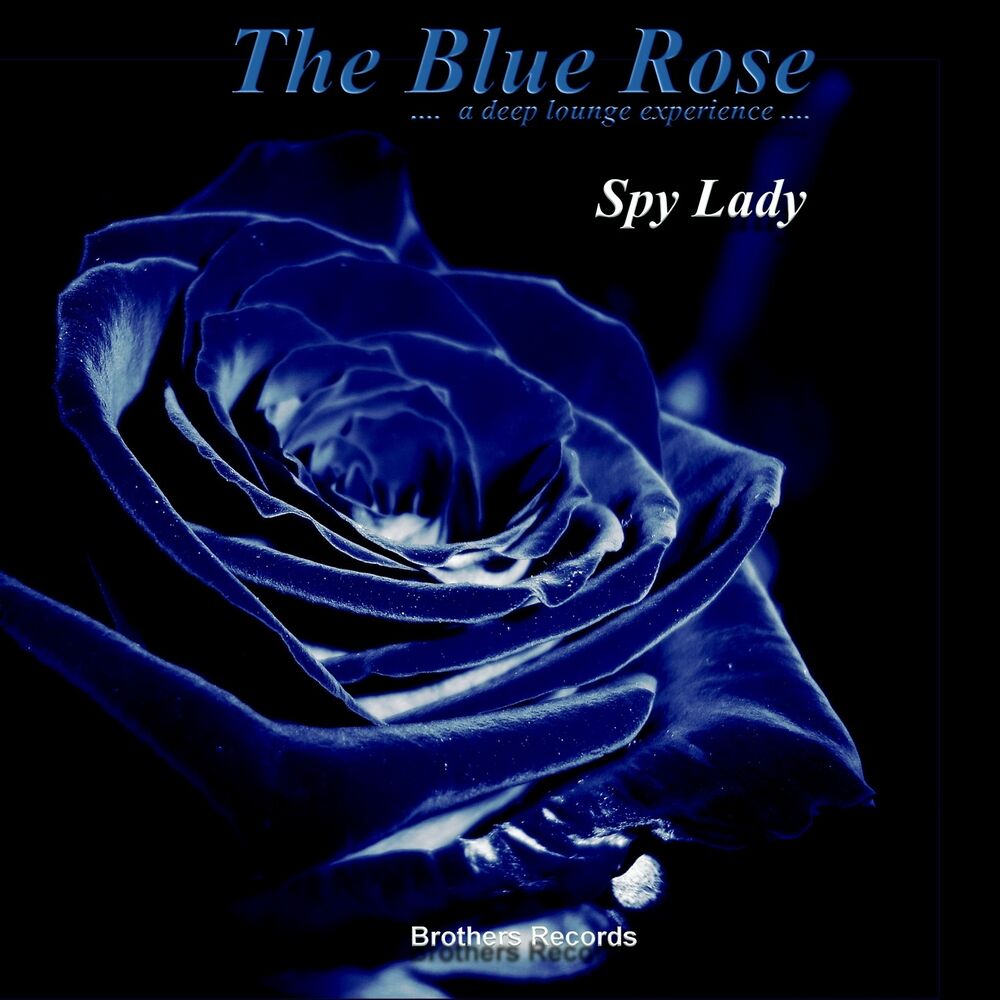 Picture of Spy Lady