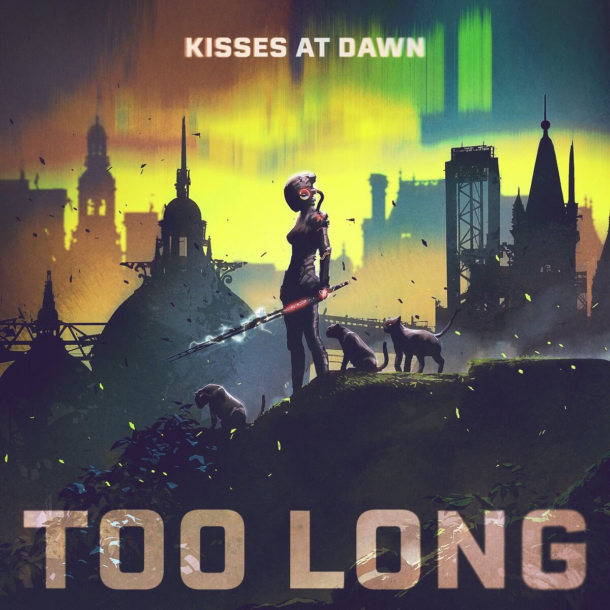Album cover of Too Long