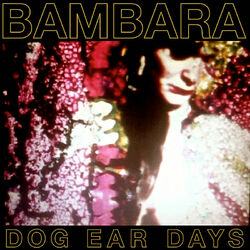 Cover of Dog Ear Days