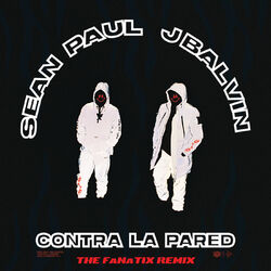 Cover of Contra La Pared (The FaNaTiX Remix)
