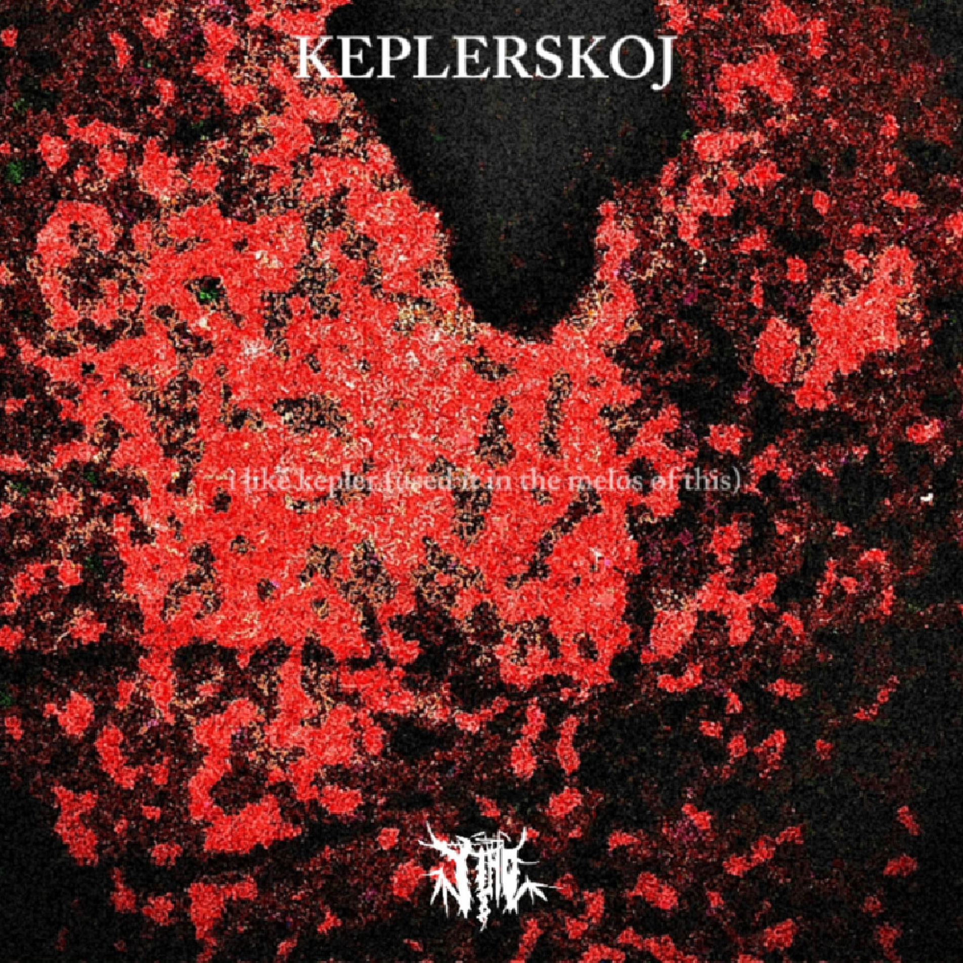 Album cover of KEPLERSKOJ