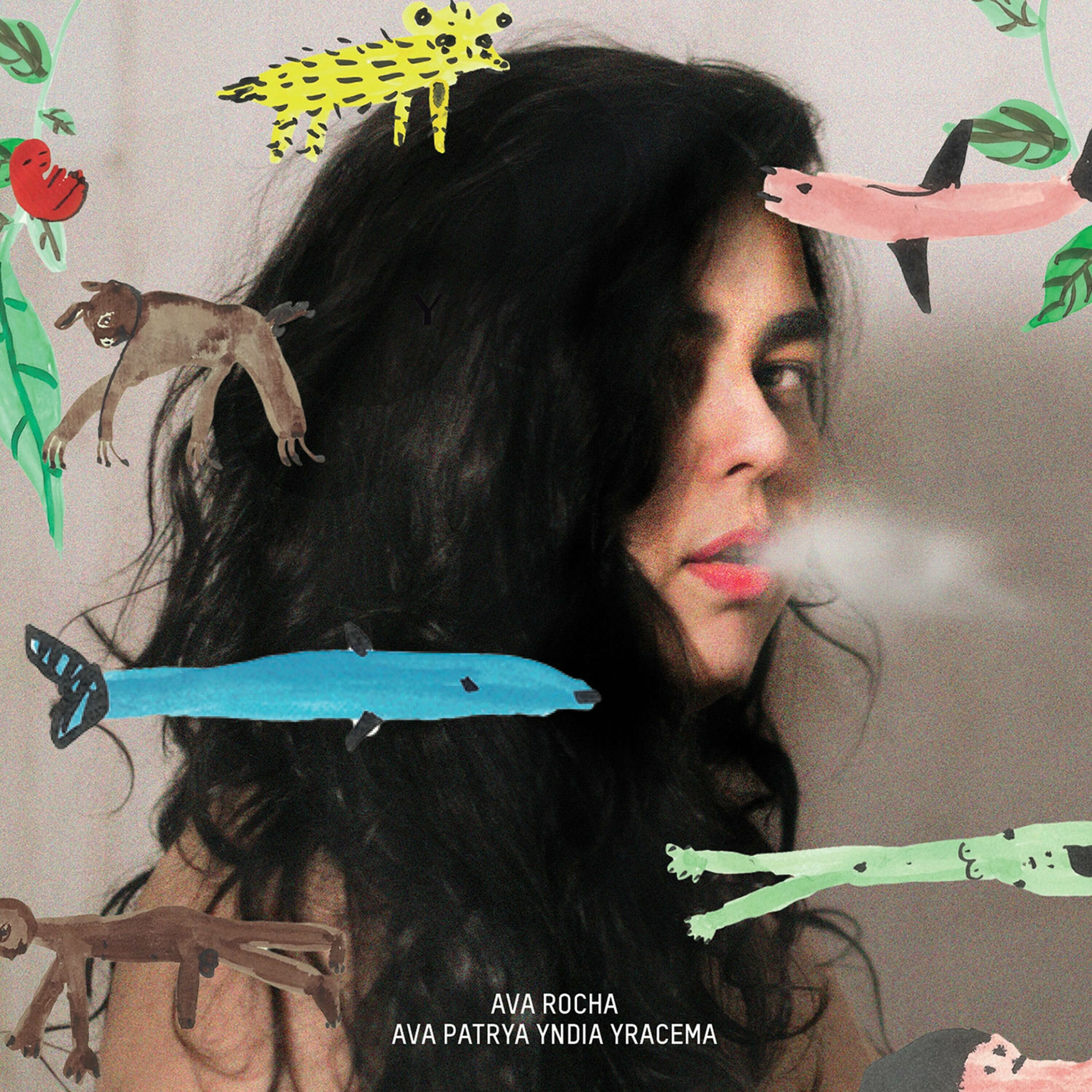 Album cover of Você Não Vai Passar