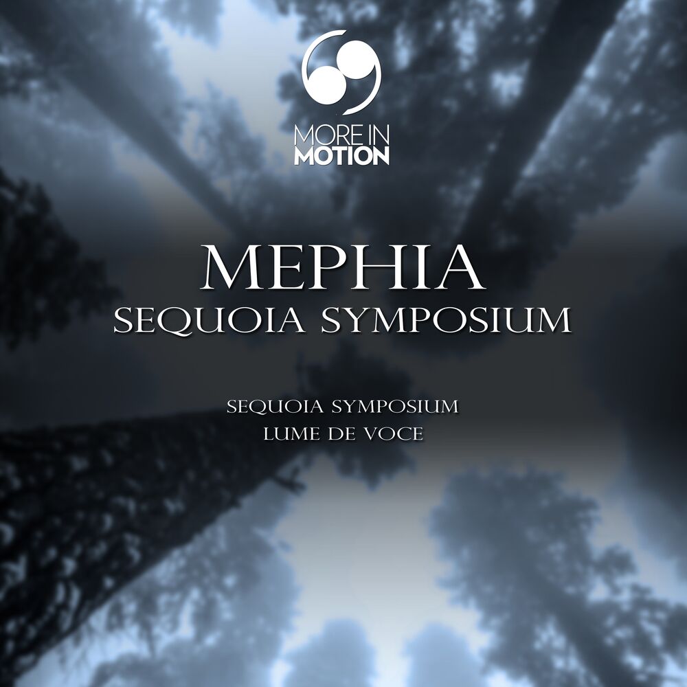 Picture of Sequoia Symposium