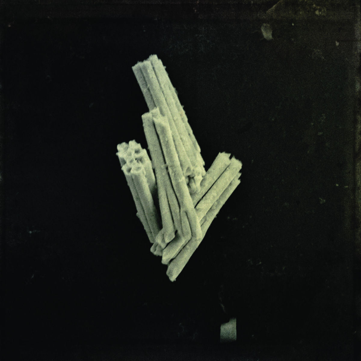 Album cover of Prayer Before Birth