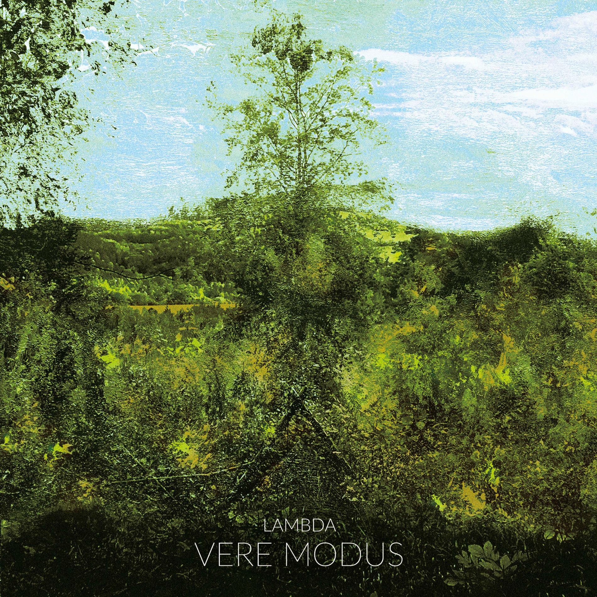 Album cover of Vere Modus