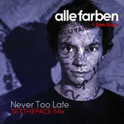 Cover of Never Too Late (SETTHEPACE Mix)