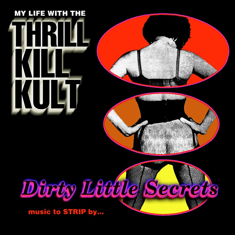 Picture of Dirty Little Secrets