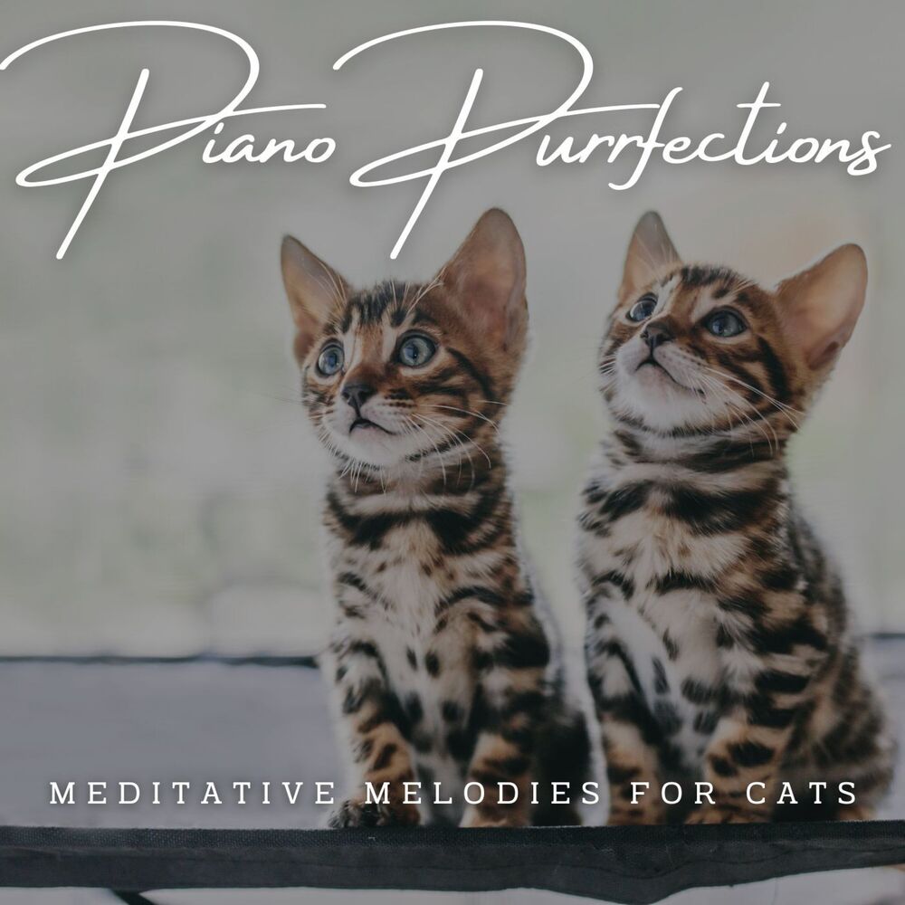 Picture of Piano Purrfections: Meditative Melodies for Cats