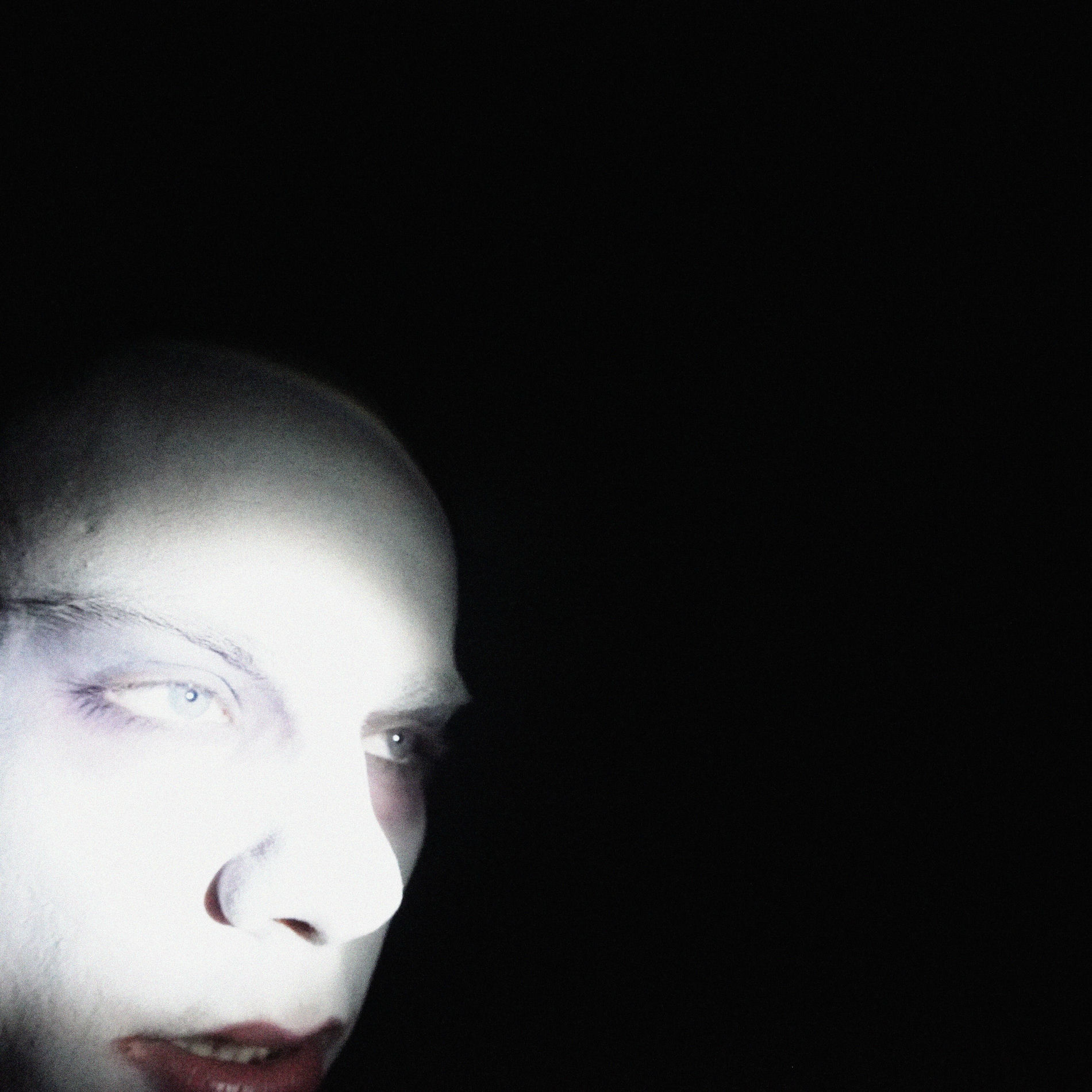 Album cover of Herzblut