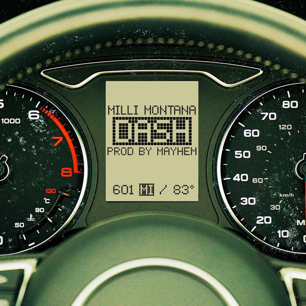 Picture of Dash