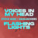 Voices In My Head (ft. Teddy Bee) by Steve Aoki album cover