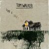 TOM WALKER - LEAVE A LIGHT ON