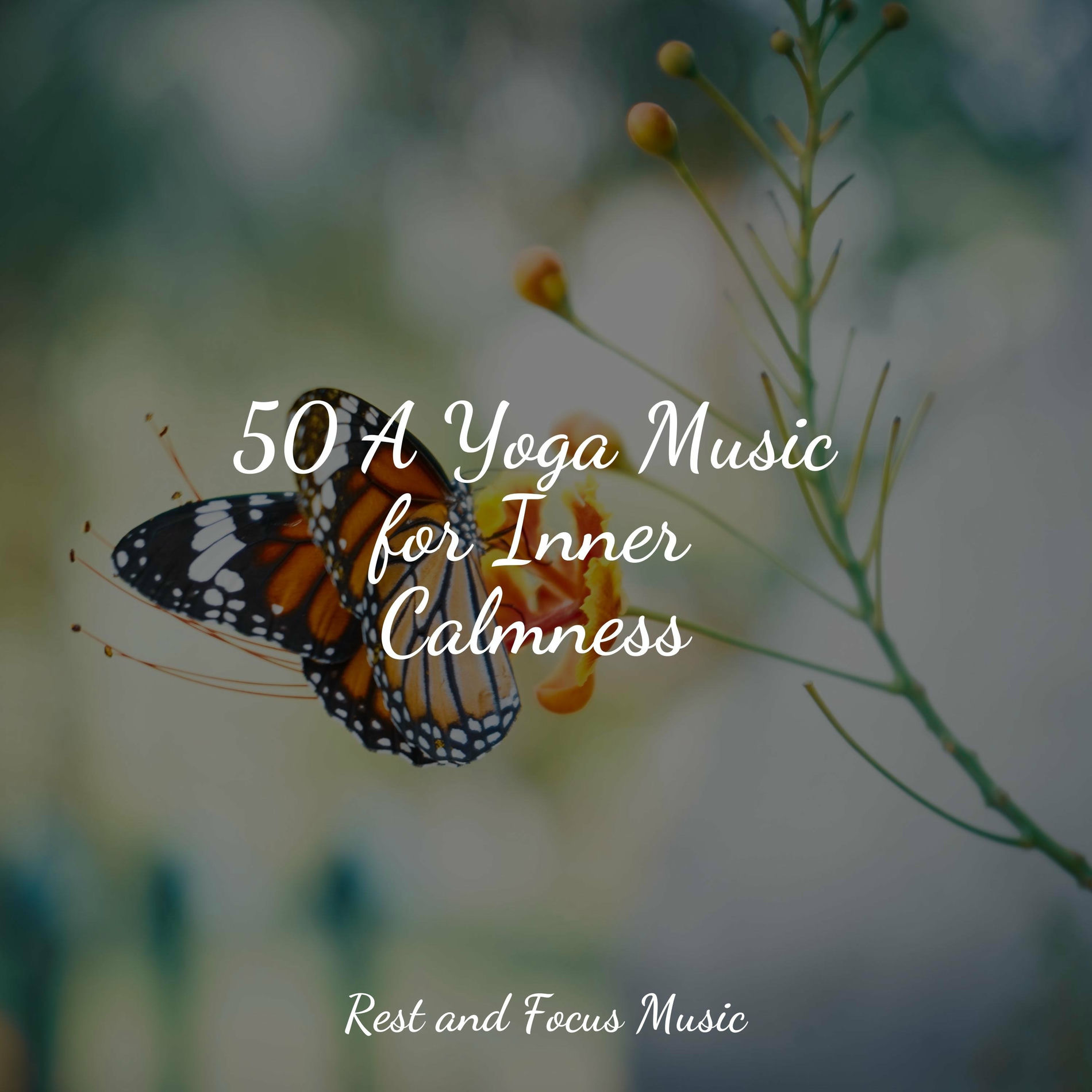 Album cover of 50 A Yoga Music for Inner Calmness