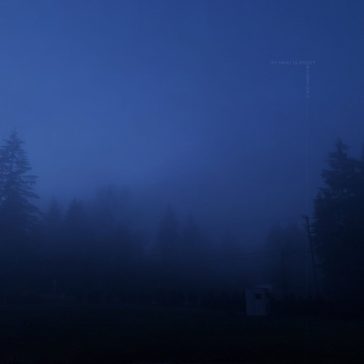 Album cover of perpetual