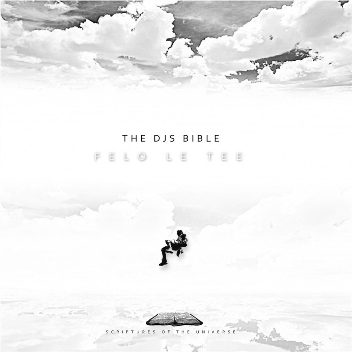 Album cover of The Djs Bible