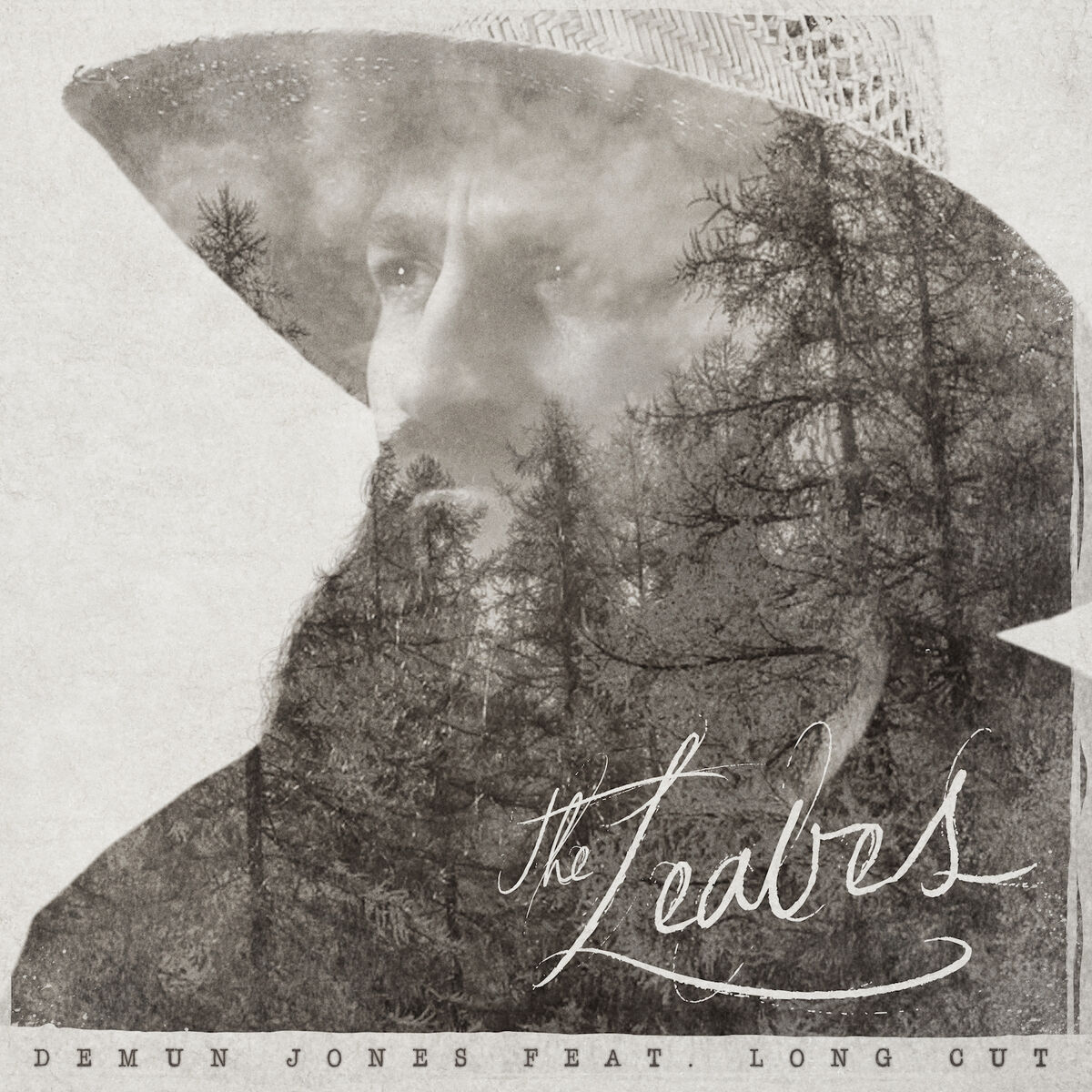 Album cover of The Leaves