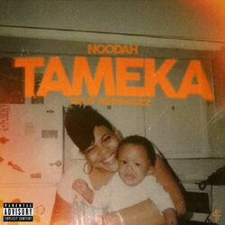 Cover of Tameka