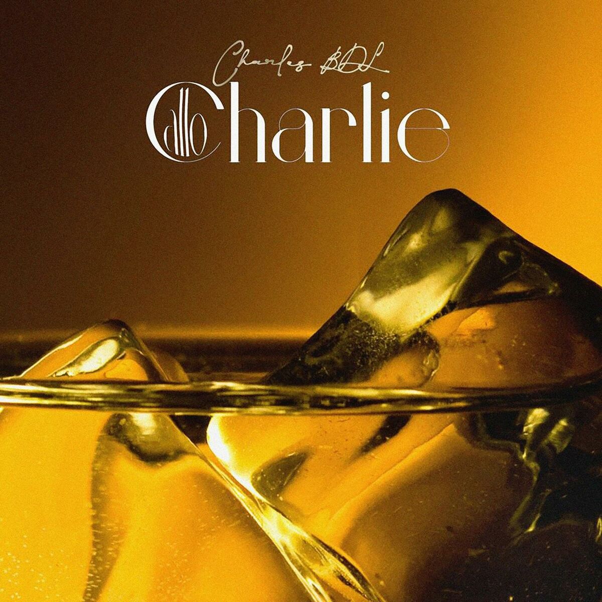 Album cover of Allo Charlie